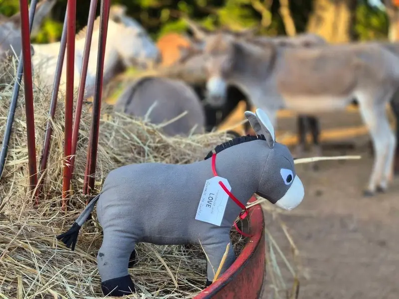 Handmade donkey in a field